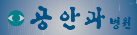 (병원)공안과병원